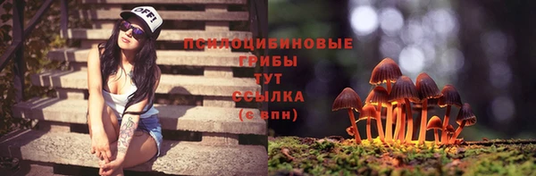 а пвп мука Козельск