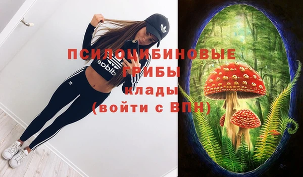 а пвп мука Козельск